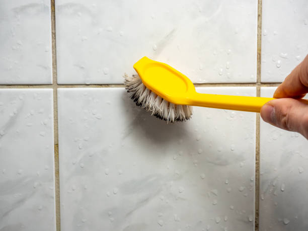Best Mold Inspection  in Plains, TX