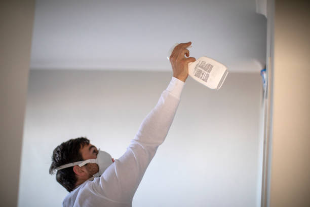 Best Local Mold Removal Service  in Plains, TX