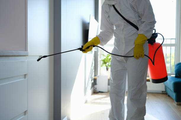 Best Residential Mold Removal  in Plains, TX