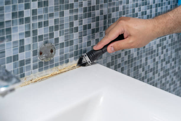 Best Mold Testing  in Plains, TX