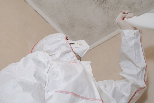 Water Damage Restoration in Plains, TX