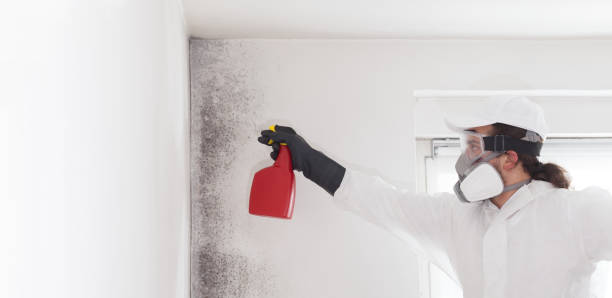 Crawl Space Mold Removal in Plains, TX
